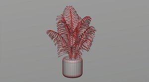 3D model Areca palm plant