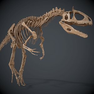 Allosaurus Skeleton