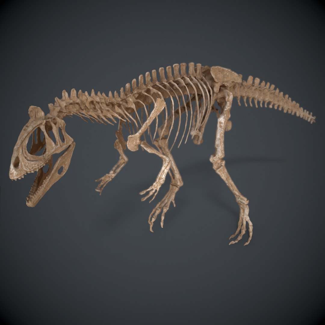 allosaur skeleton 3d obj https://p.turbosquid.com/ts-thumb/Ez/AniiLN/RnhtrkQn/screenshot007/png/1483720486/1920x1080/fit_q87/f402e106fdbc0c418458306d8a91350f578b3b67/screenshot007.jpg