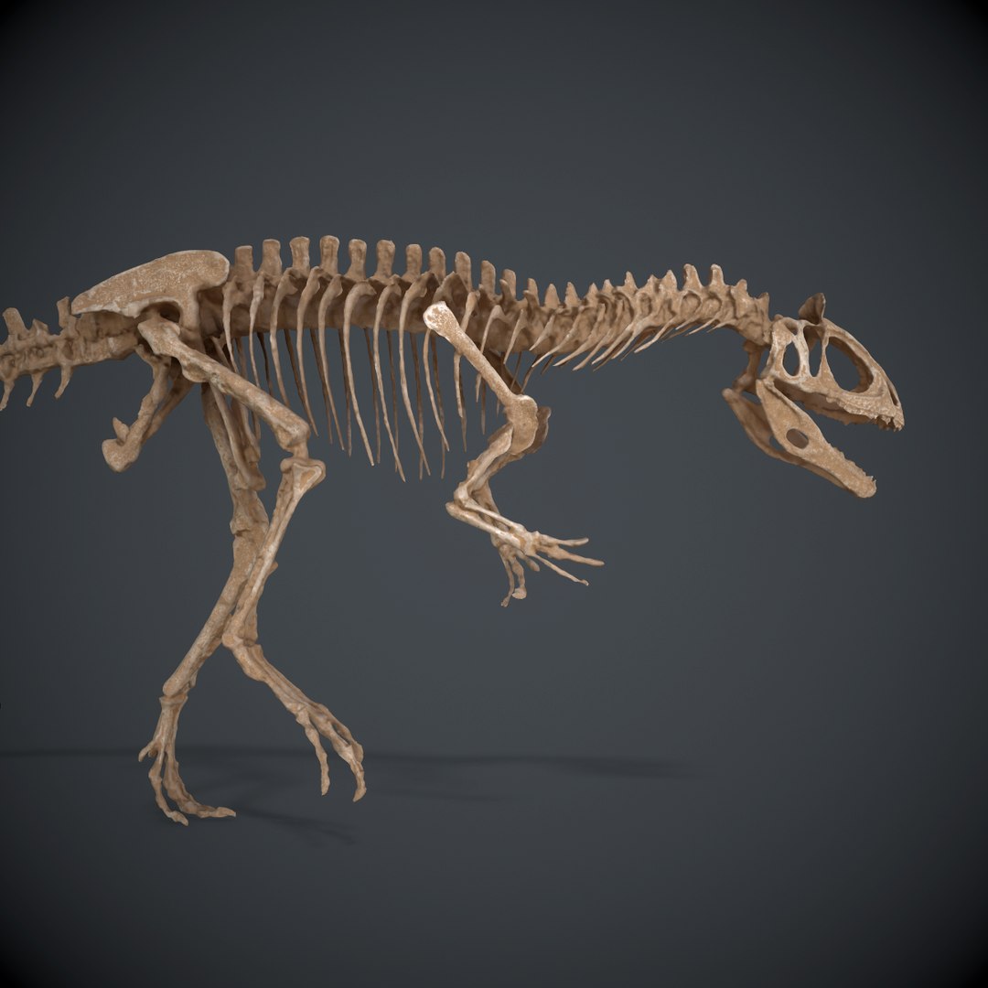 allosaur skeleton 3d obj https://p.turbosquid.com/ts-thumb/Ez/AniiLN/V56H9RWJ/screenshot004/png/1483720486/1920x1080/fit_q87/571376769e25e95e89e803d12b7a9bf55ead809b/screenshot004.jpg