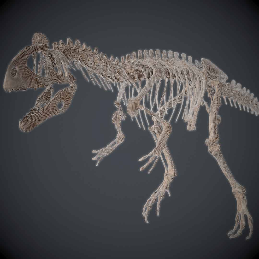 allosaur skeleton 3d obj https://p.turbosquid.com/ts-thumb/Ez/AniiLN/nVbHcLcU/screenshot010/png/1483720486/1920x1080/fit_q87/a61750ea8f21d76d242f69dc07fe1d026e9393c1/screenshot010.jpg