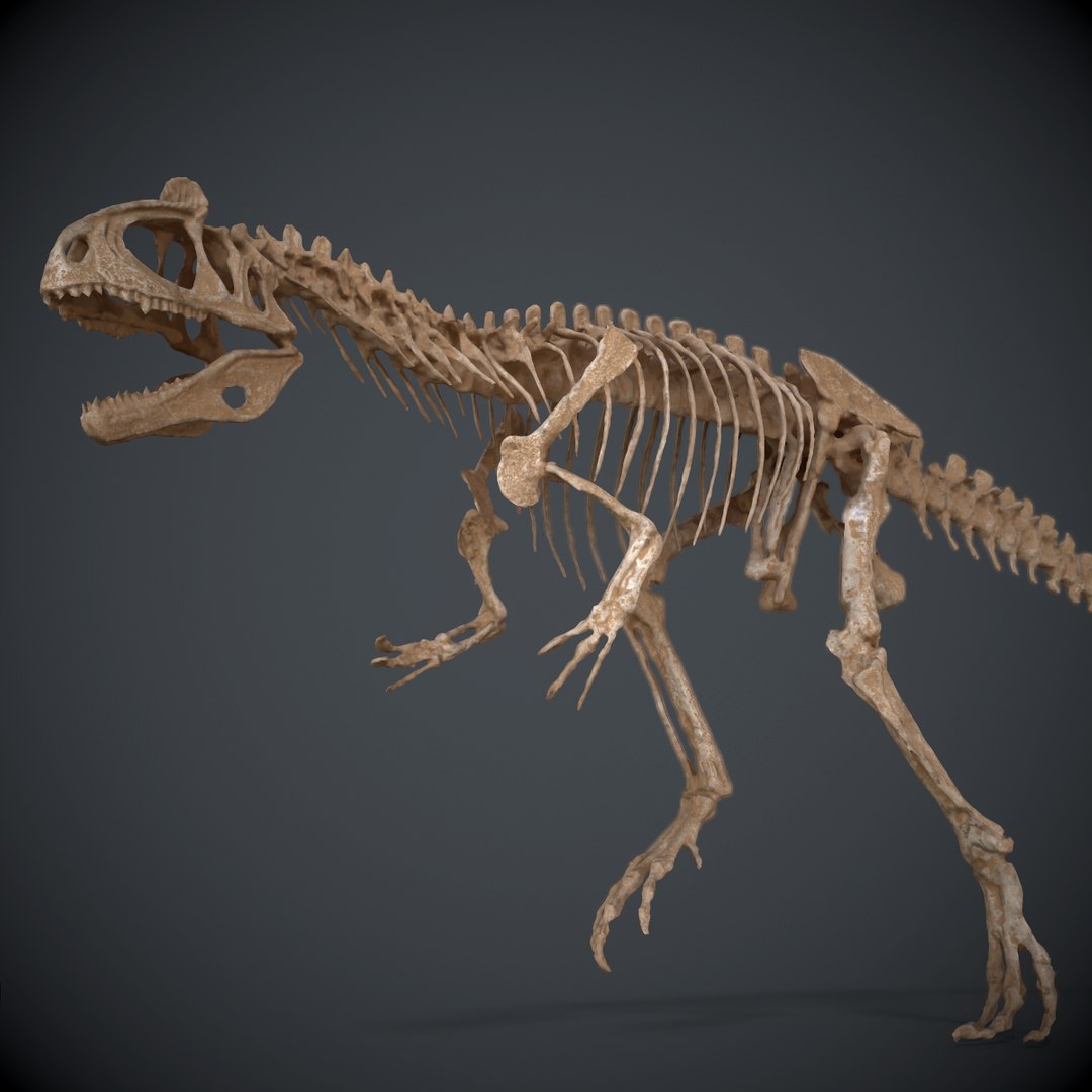 Allosaur Skeleton 3d Obj