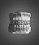 Human Teeth