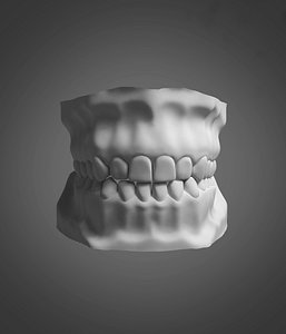Human Teeth