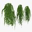 3D ivy hanging greenery bushes model