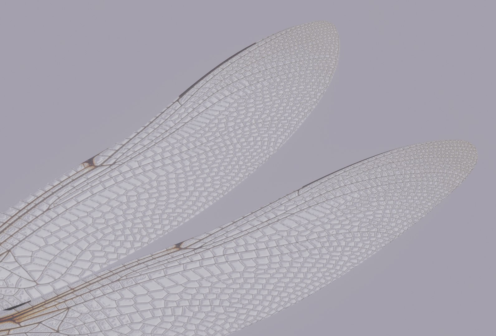 3D Dragonfly Model - TurboSquid 2197455