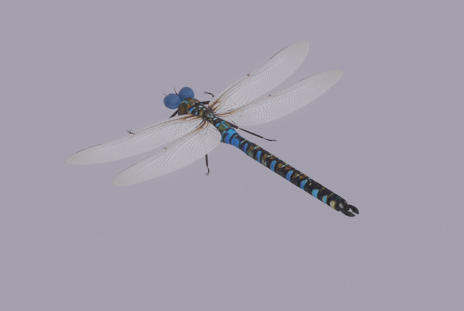 3D Dragonfly Model - TurboSquid 2197455