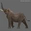 3d elephant 01