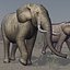 3d elephant 01