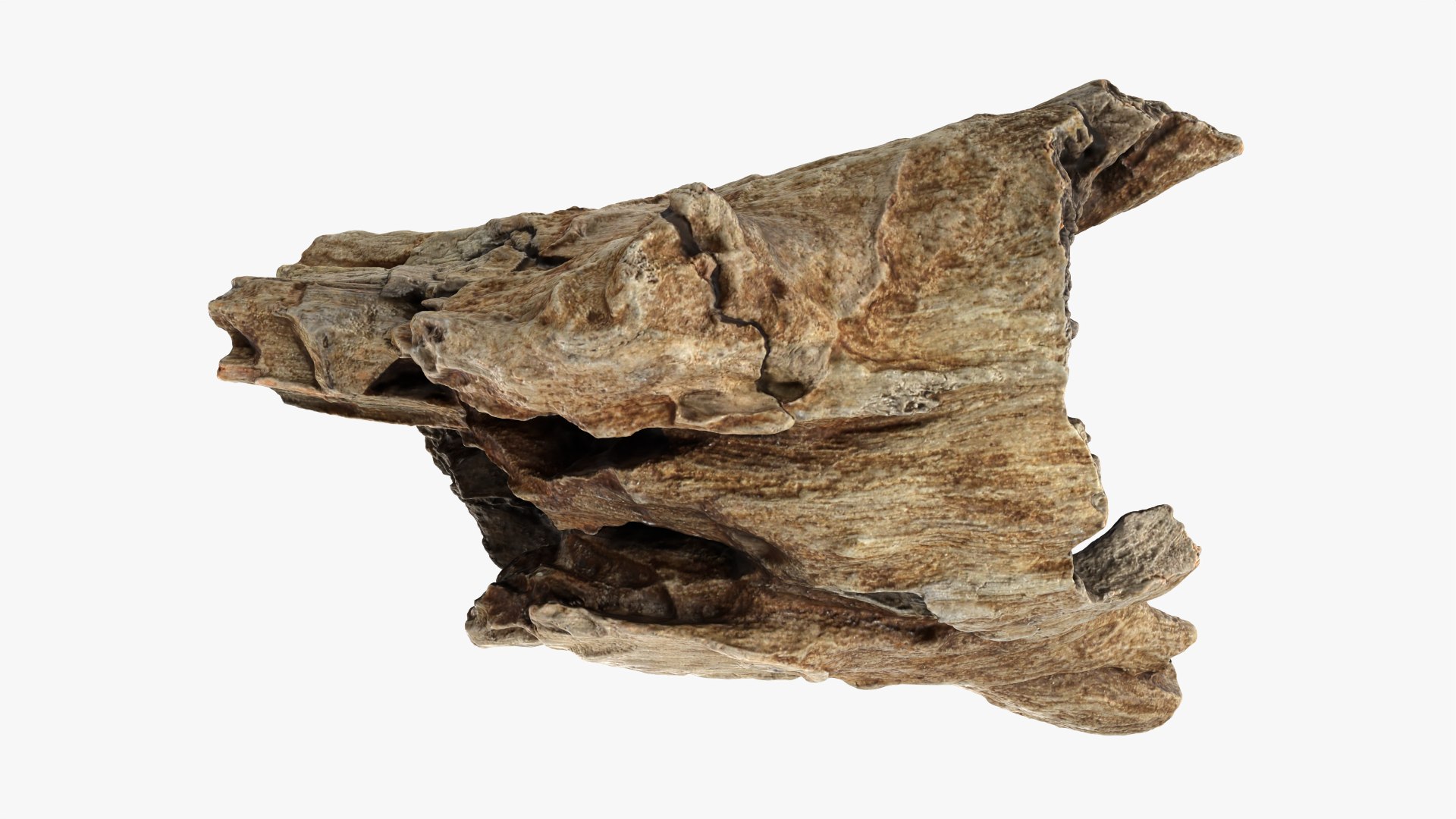 3D Tree Trunk Piece 11 https://p.turbosquid.com/ts-thumb/Ez/gHlx9o/Ft/treetrunkpc11_0011/png/1766080282/1920x1080/fit_q87/7084d1caa4c2ceee7134ec31dac1071461b1da9b/treetrunkpc11_0011.jpg