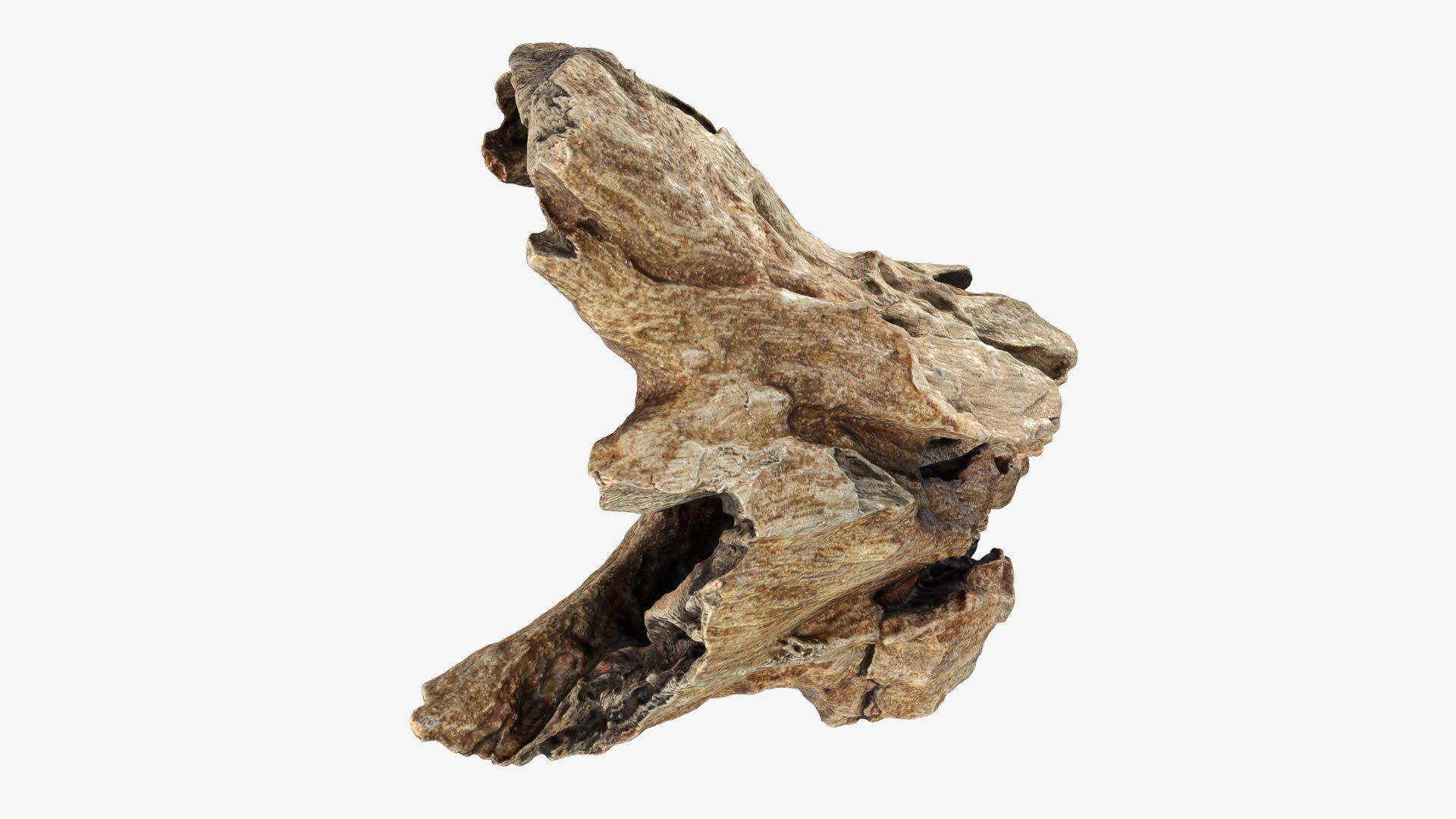 3D Tree Trunk Piece 11 https://p.turbosquid.com/ts-thumb/Ez/gHlx9o/IY/treetrunkpc11_0005/png/1766080270/1920x1080/fit_q87/ddb76e530dce89ef21448ea7c718b0c264209c7a/treetrunkpc11_0005.jpg