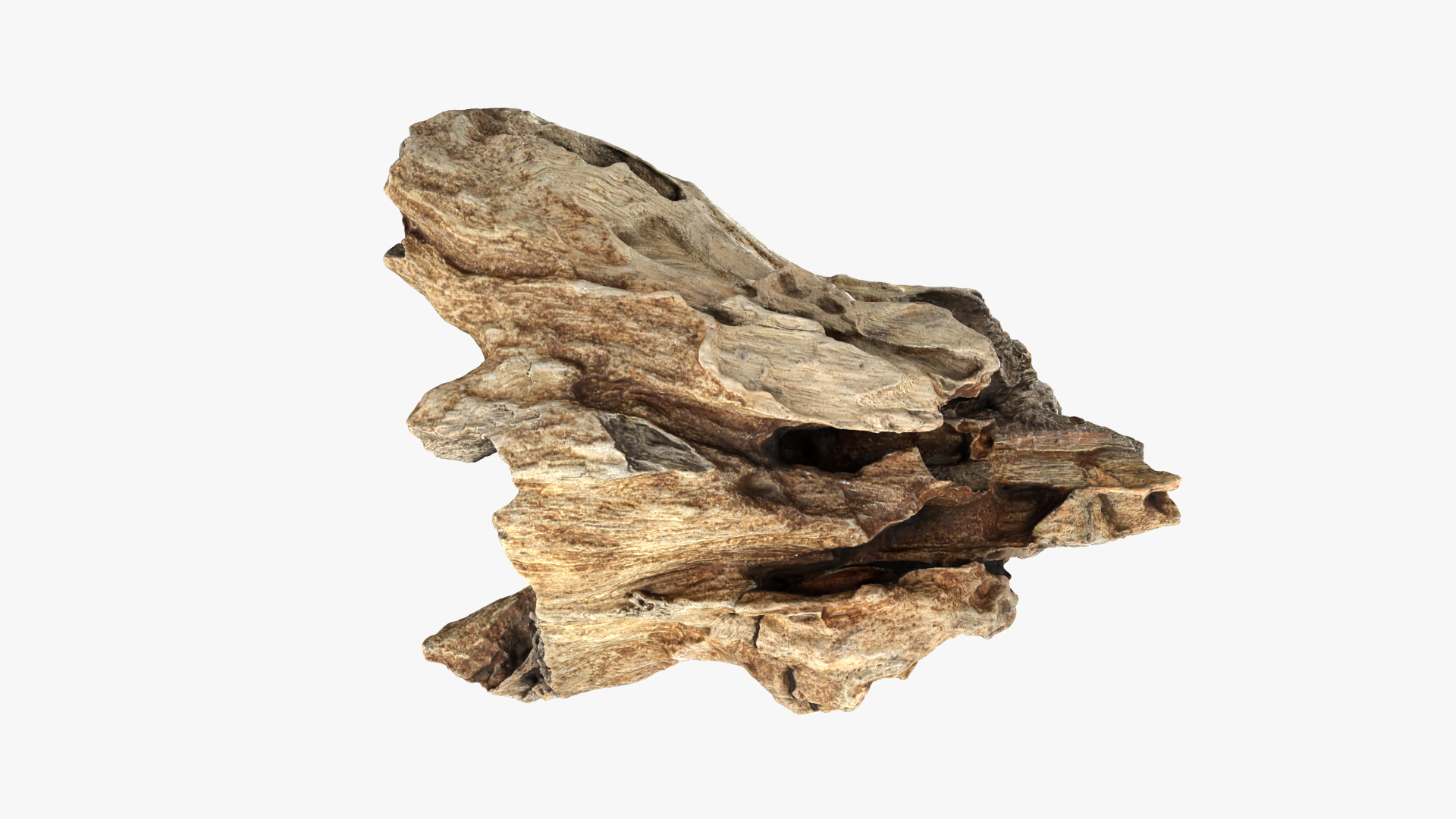 3D Tree Trunk Piece 11 https://p.turbosquid.com/ts-thumb/Ez/gHlx9o/LH/treetrunkpc11/png/1766340871/1920x1080/turn_fit_q99/eba2fb792b95469c73032b5ff4c25a41e1d52cc8/treetrunkpc11-1.jpg