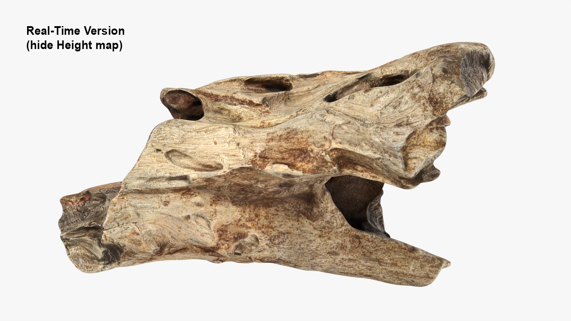 3D Tree Trunk Piece 11 https://p.turbosquid.com/ts-thumb/Ez/gHlx9o/Nm/treetrunkpc11_0006b/png/1766080275/1920x1080/fit_q87/90b8723a31c92bc63d7e5fd17d9b64e60b295bab/treetrunkpc11_0006b.jpg