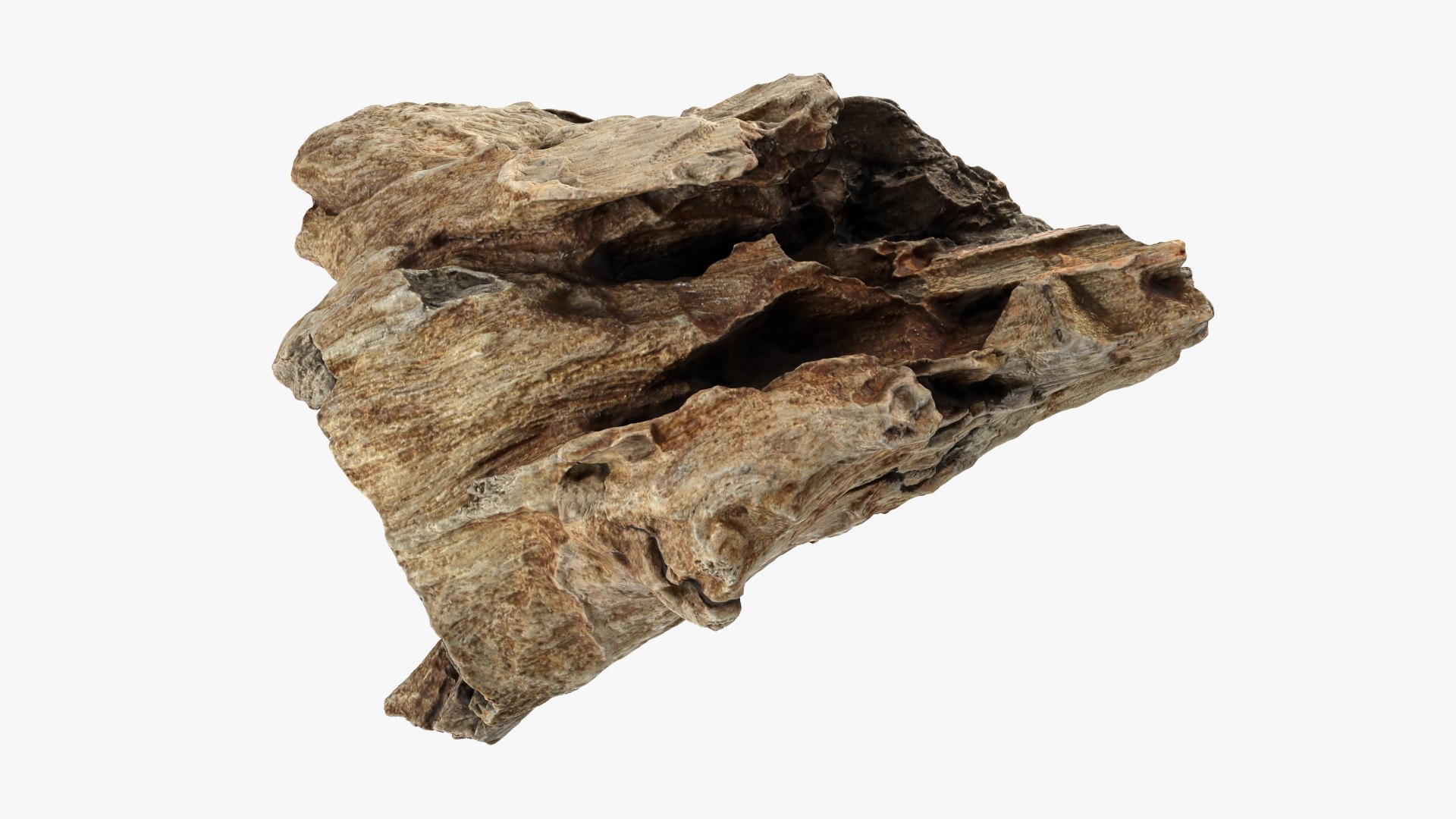 3D Tree Trunk Piece 11 https://p.turbosquid.com/ts-thumb/Ez/gHlx9o/PT/treetrunkpc11_0008/png/1766080276/1920x1080/fit_q87/61f1de15628b3b5c39a903bde577b4eb3b5743ea/treetrunkpc11_0008.jpg