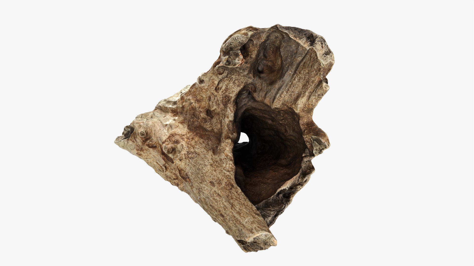 3D Tree Trunk Piece 11 https://p.turbosquid.com/ts-thumb/Ez/gHlx9o/XK/treetrunkpc11_0004/png/1766080270/1920x1080/fit_q87/5664ef2677ed3dd1b2f54211741356eb13e2e869/treetrunkpc11_0004.jpg