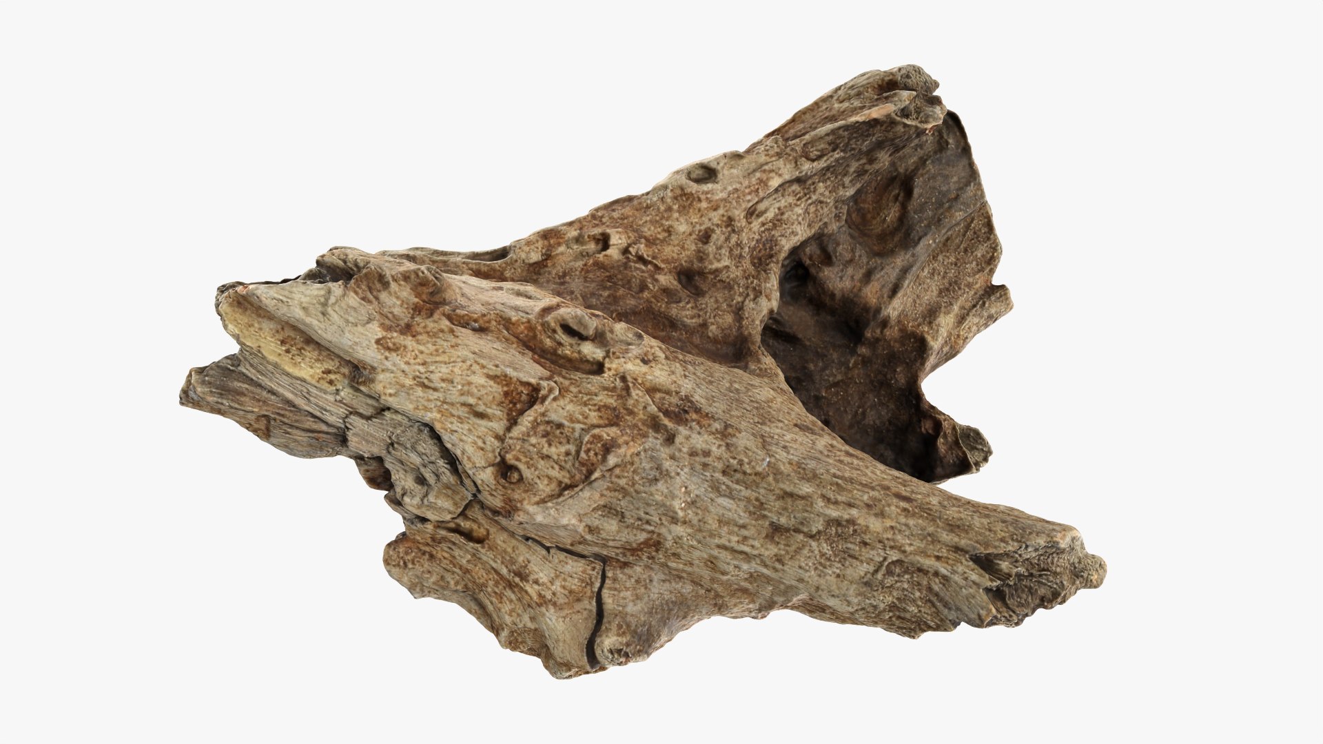 3D Tree Trunk Piece 11 https://p.turbosquid.com/ts-thumb/Ez/gHlx9o/c3/treetrunkpc11_0010/png/1766080300/1920x1080/fit_q87/2fcb0d3d2c457830dec149096f9dc20d6423d1cd/treetrunkpc11_0010.jpg