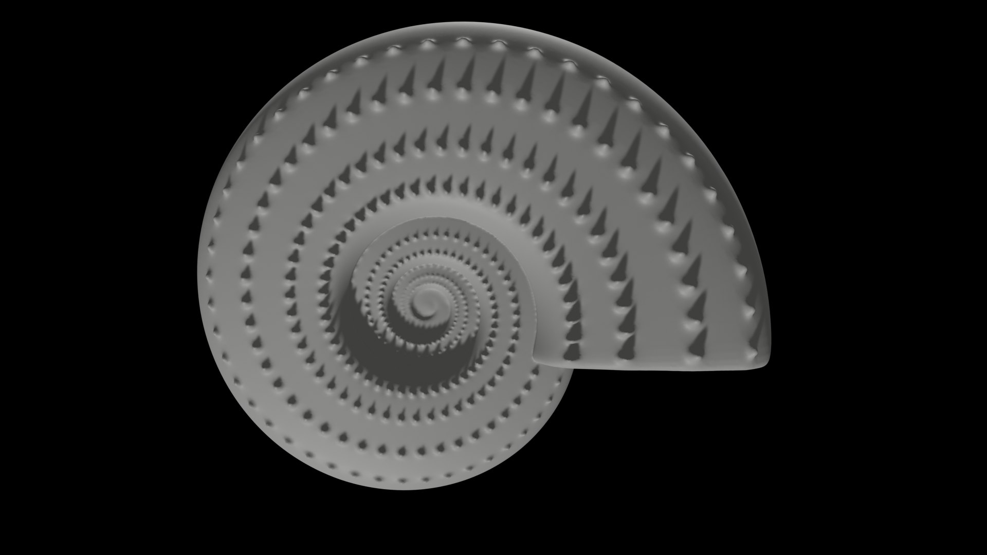 3D Discocone Conch Spines model - TurboSquid 2168976