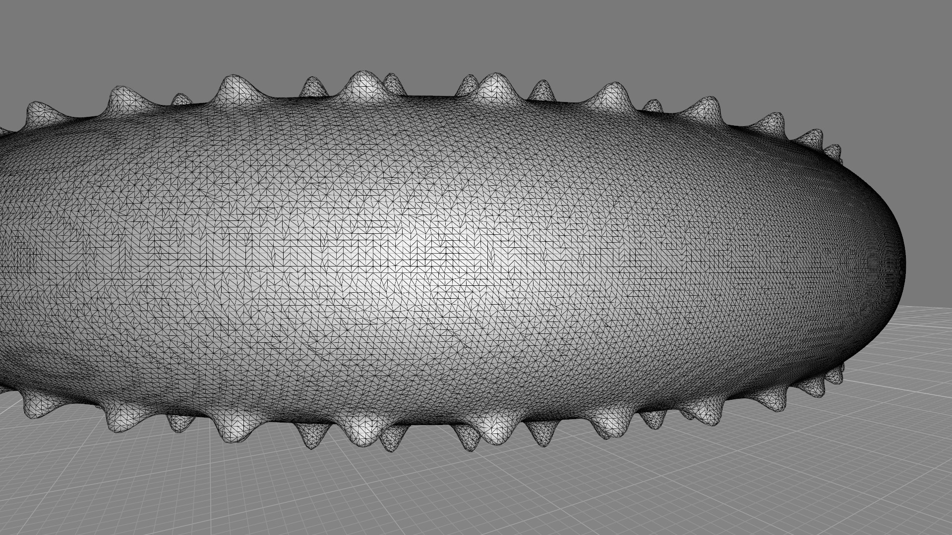 3D Discocone Conch Spines model - TurboSquid 2168976