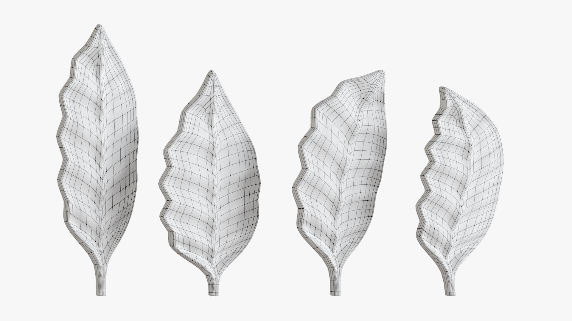 leaf 02 3D model https://p.turbosquid.com/ts-thumb/Ez/mgBAbW/lw/ts_p6/jpg/1700673210/1920x1080/fit_q87/7d0536ce82a6b4743194bf6bdd3941e7238c2918/ts_p6.jpg