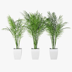 palm pots 3D model