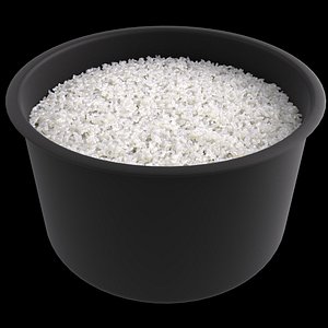 Rice Cooker