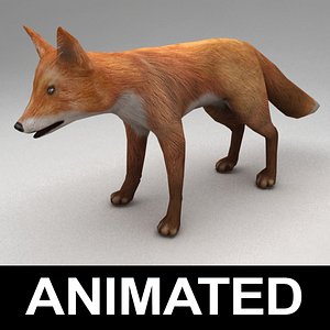 rigged fox animation 3d model