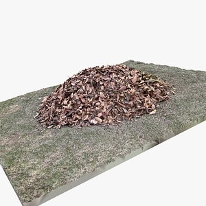 3D Leaves on the ground 3d scan model