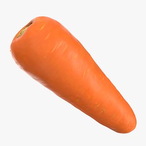 3D Fresh Carrot 02 - Raw Scan
