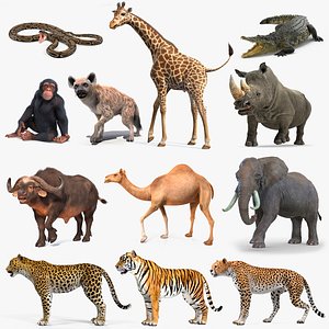 Rigged African Animals Collection 9 for Cinema 4D 3D model