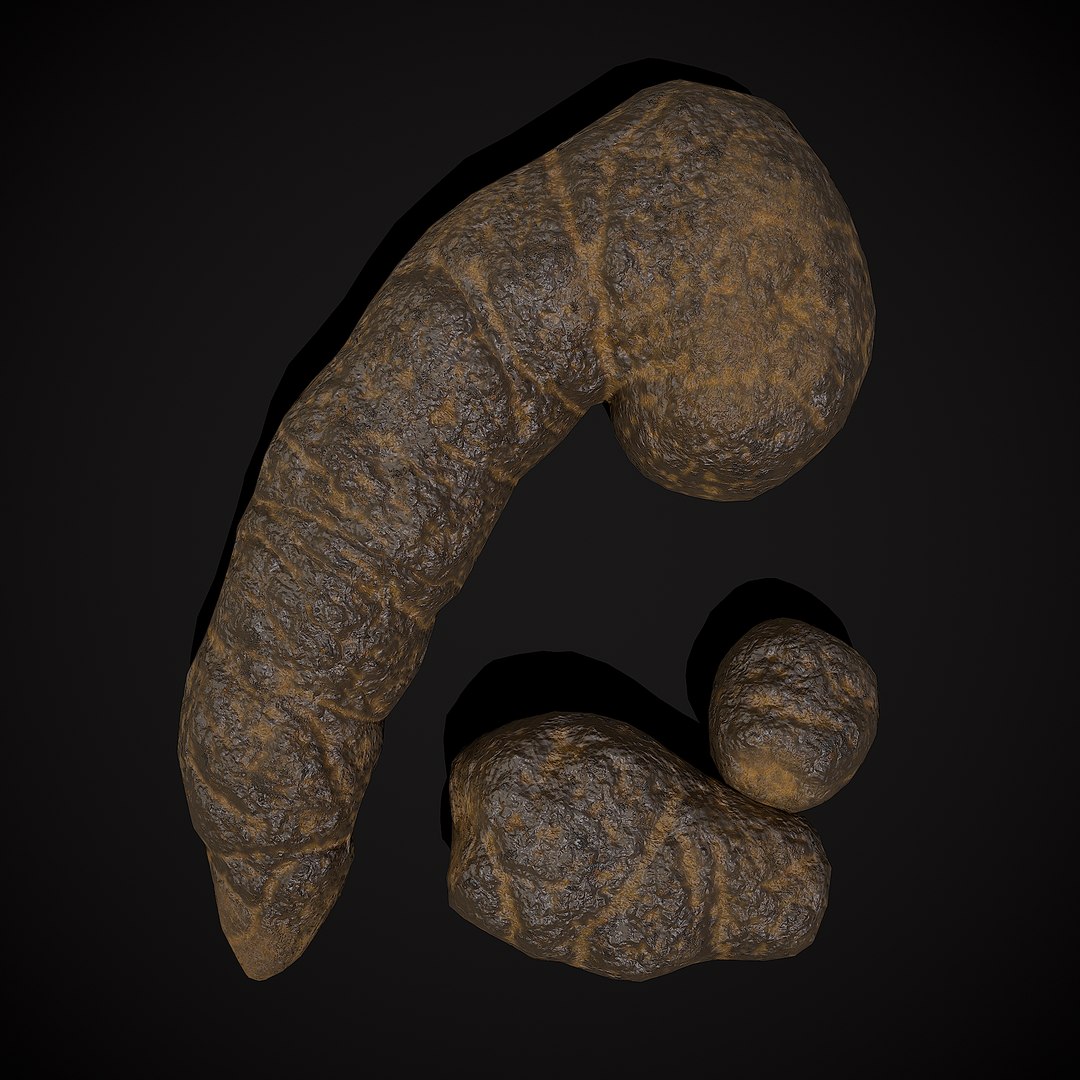 3D Poop Variety Pack model https://p.turbosquid.com/ts-thumb/F0/gWaVA3/Ed/3/png/1709231441/1920x1080/fit_q87/6af3506079169865d87f40359f68f521a75053f5/3.jpg