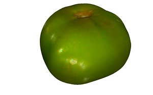 green tomato 3D model