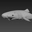 Greenland Shark (Animated)