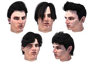 Set male hairstyle 5 species