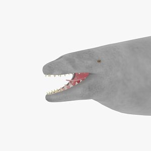 Basilosaurus 3D model