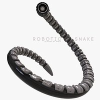 Robotic Snake Sneak