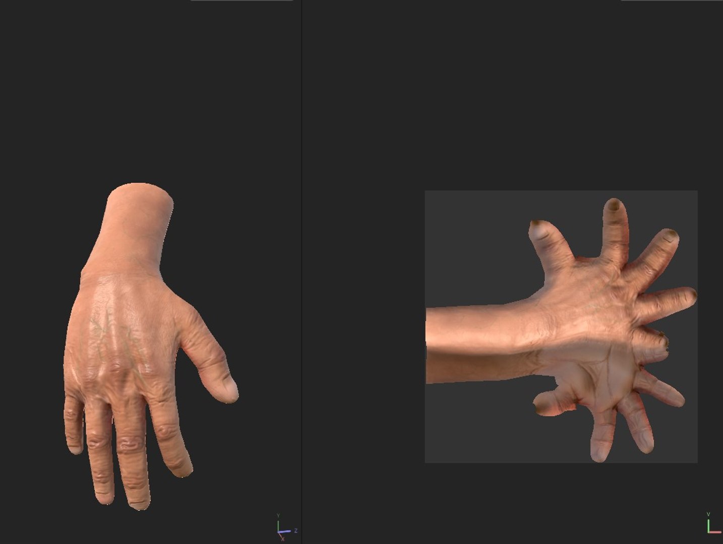 Hand 3D Model 3D model https://p.turbosquid.com/ts-thumb/F1/ViQGDg/vO/handtjx/jpg/1713893696/1920x1080/fit_q87/f8be196ec21da5b6d6f91d98bf4100db01025179/handtjx.jpg