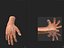 Hand