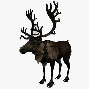 Reindeer Caribou 3D