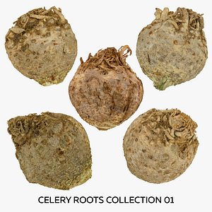 3D Celery Roots Collection 01 - 5 models RAW Scans model
