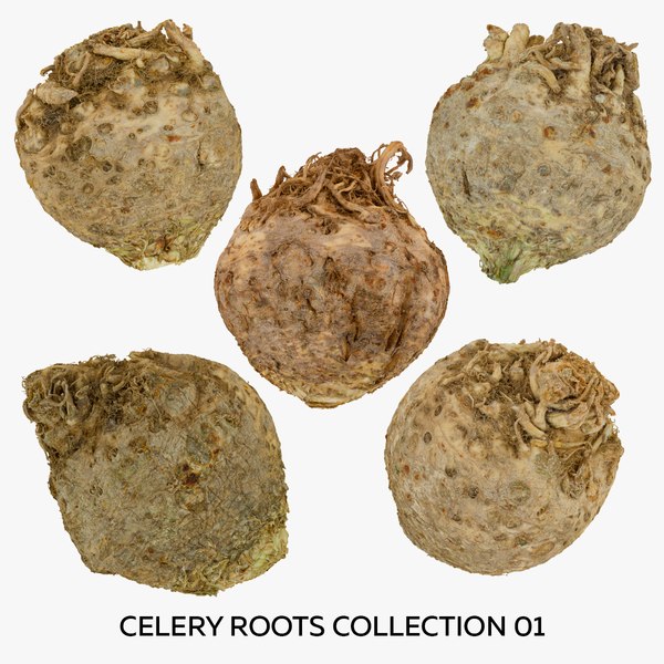 3D Celery Roots Collection 01 - 5 models RAW Scans model