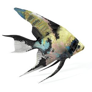 scalar fish 3D model