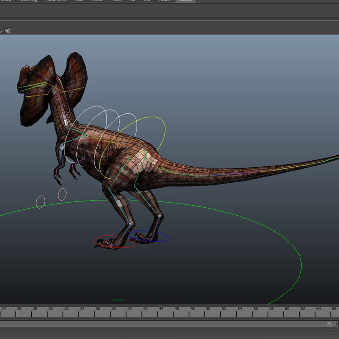 3d rigged animation model