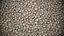 Skulls texture