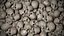 Skulls texture