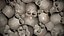 Skulls texture