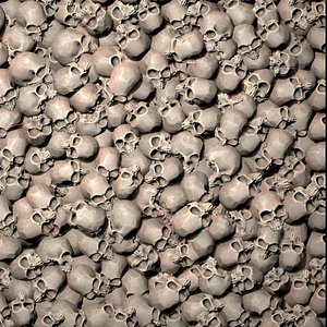 3D Skulls texture model