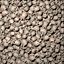 Skulls texture