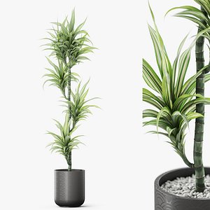Plants collection 1152 model