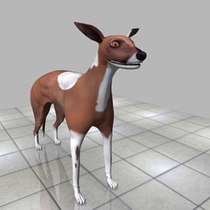 3d model greyhound bitch