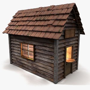 little building shed max